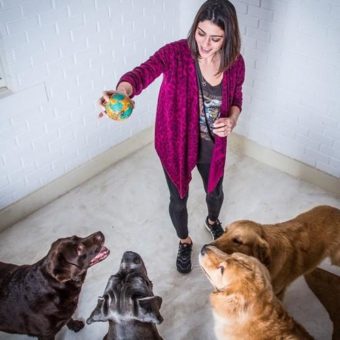 cachorros-dos-famosos-8